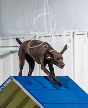 2025-6-29-BANDA-1078