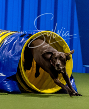 2025-6-29-BANDA-1080