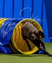 2025-6-29-BANDA-1081