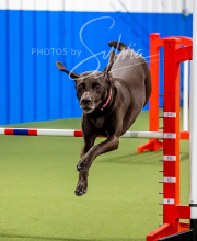 2025-6-29-BANDA-1090