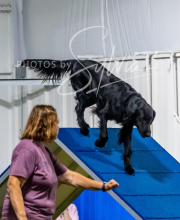 2025-6-29-BANDA-1092