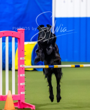 2025-6-29-BANDA-1094