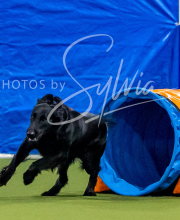 2025-6-29-BANDA-1098