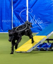 2025-6-29-BANDA-1099