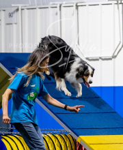 2025-6-29-BANDA-1103