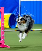 2025-6-29-BANDA-1107