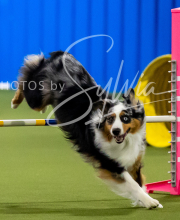 2025-6-29-BANDA-1109