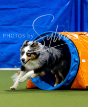 2025-6-29-BANDA-1111