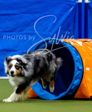 2025-6-29-BANDA-1112