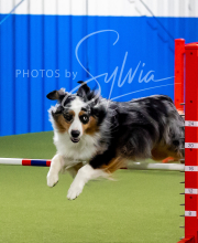 2025-6-29-BANDA-1118