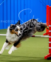 2025-6-29-BANDA-1119