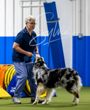 2025-6-29-BANDA-1124