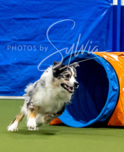 2025-6-29-BANDA-1128