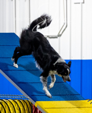 2025-6-29-BANDA-1131