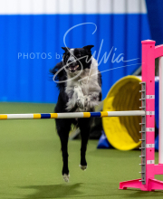 2025-6-29-BANDA-1133