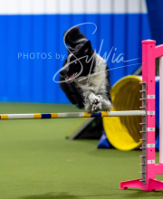 2025-6-29-BANDA-1135