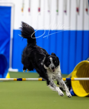 2025-6-29-BANDA-1136