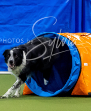 2025-6-29-BANDA-1138