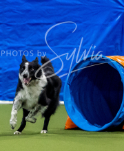 2025-6-29-BANDA-1139