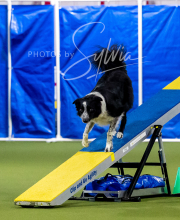 2025-6-29-BANDA-1140