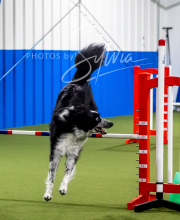 2025-6-29-BANDA-1143