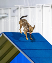 2025-6-29-BANDA-1145