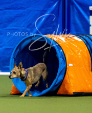 2025-6-29-BANDA-1149