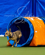 2025-6-29-BANDA-1150