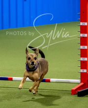 2025-6-29-BANDA-1153