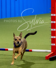 2025-6-29-BANDA-1154