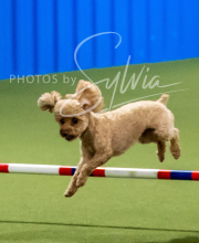 2025-6-29-BANDA-1160