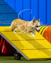 2025-6-29-BANDA-1164