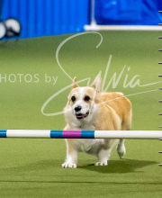 2025-6-29-BANDA-1168