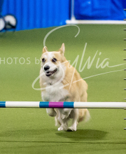 2025-6-29-BANDA-1169