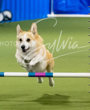 2025-6-29-BANDA-1170