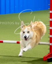 2025-6-29-BANDA-1171