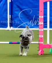 2025-6-29-BANDA-1178