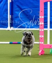 2025-6-29-BANDA-1179