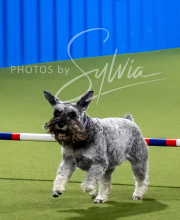 2025-6-29-BANDA-1181