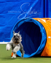 2025-6-29-BANDA-1184