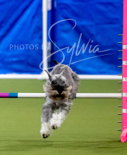 2025-6-29-BANDA-1186