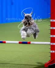 2025-6-29-BANDA-1187