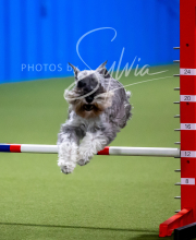 2025-6-29-BANDA-1188