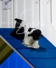 2025-6-29-BANDA-1189