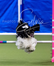 2025-6-29-BANDA-1192