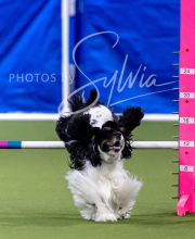 2025-6-29-BANDA-1193