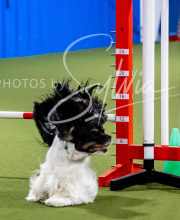 2025-6-29-BANDA-1195