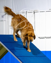 2025-6-29-BANDA-1198