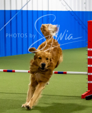 2025-6-29-BANDA-1203