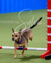 2025-6-29-BANDA-1212